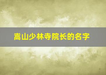 嵩山少林寺院长的名字