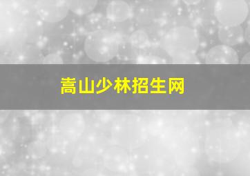 嵩山少林招生网