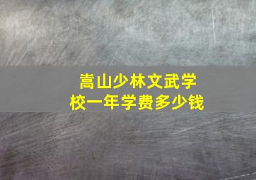 嵩山少林文武学校一年学费多少钱