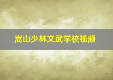 嵩山少林文武学校视频