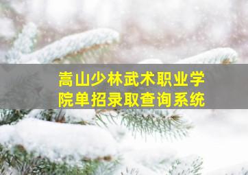 嵩山少林武术职业学院单招录取查询系统