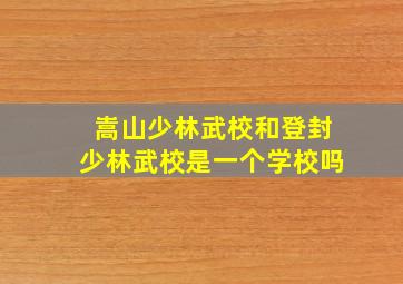 嵩山少林武校和登封少林武校是一个学校吗