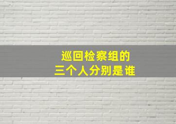 巡回检察组的三个人分别是谁