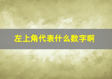 左上角代表什么数字啊