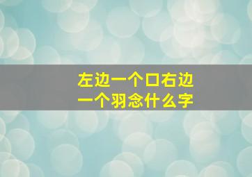 左边一个口右边一个羽念什么字