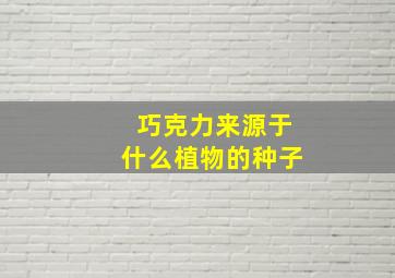 巧克力来源于什么植物的种子