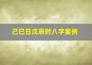 己巳日戊辰时八字案例