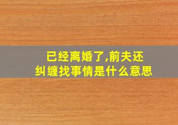 已经离婚了,前夫还纠缠找事情是什么意思