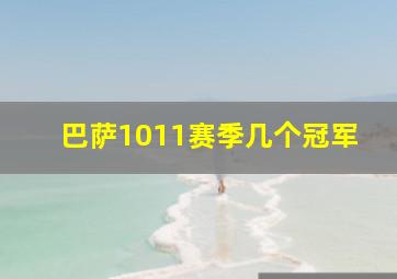 巴萨1011赛季几个冠军