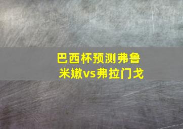 巴西杯预测弗鲁米嫩vs弗拉门戈