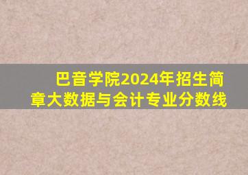 巴音学院2024年招生简章大数据与会计专业分数线