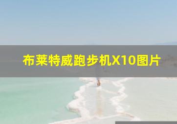 布莱特威跑步机X10图片