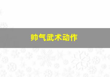 帅气武术动作