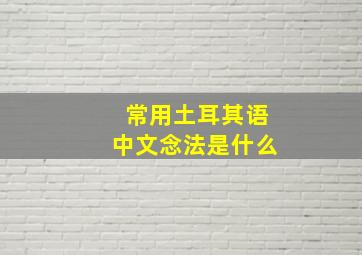 常用土耳其语中文念法是什么