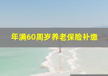 年满60周岁养老保险补缴