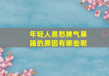 年轻人易怒脾气暴躁的原因有哪些呢