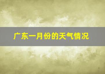 广东一月份的天气情况