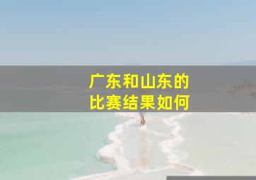 广东和山东的比赛结果如何