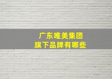 广东唯美集团旗下品牌有哪些