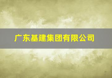 广东基建集团有限公司