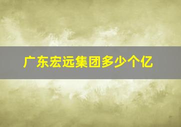 广东宏远集团多少个亿