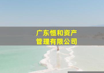 广东恒和资产管理有限公司