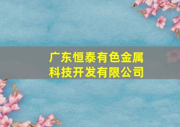 广东恒泰有色金属科技开发有限公司