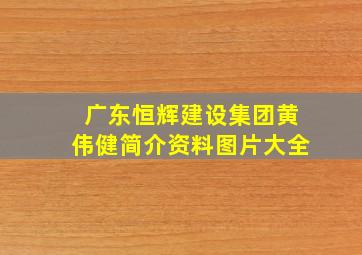 广东恒辉建设集团黄伟健简介资料图片大全