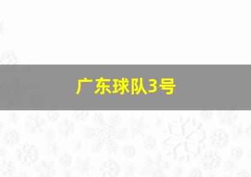 广东球队3号