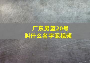 广东男篮20号叫什么名字呢视频