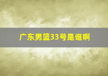 广东男篮33号是谁啊