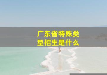 广东省特殊类型招生是什么