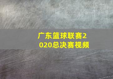 广东篮球联赛2020总决赛视频