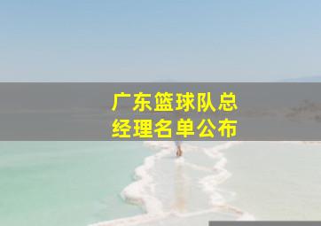 广东篮球队总经理名单公布