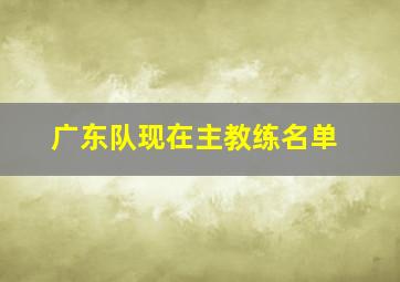 广东队现在主教练名单