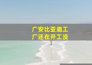 广安比亚迪工厂还在开工没