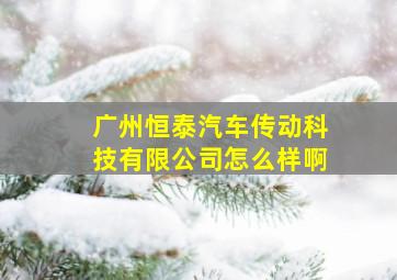 广州恒泰汽车传动科技有限公司怎么样啊