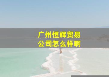 广州恒辉贸易公司怎么样啊