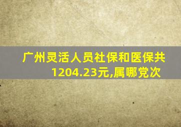 广州灵活人员社保和医保共1204.23元,属哪党次