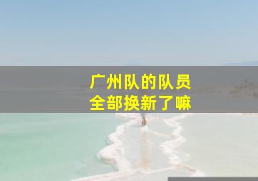 广州队的队员全部换新了嘛