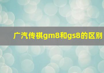 广汽传祺gm8和gs8的区别