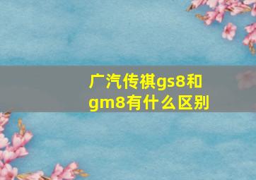 广汽传祺gs8和gm8有什么区别