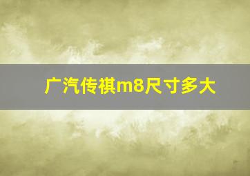 广汽传祺m8尺寸多大