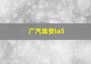 广汽埃安ia5