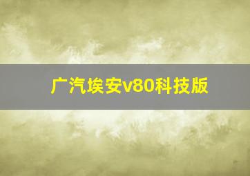 广汽埃安v80科技版