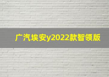 广汽埃安y2022款智领版