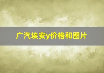 广汽埃安y价格和图片