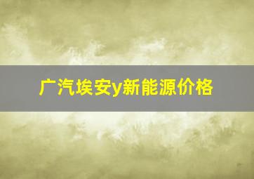 广汽埃安y新能源价格