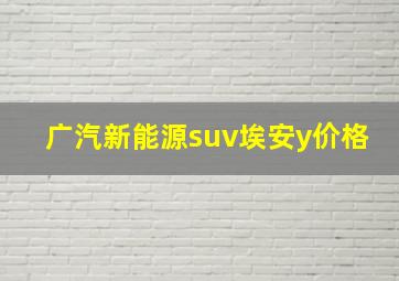 广汽新能源suv埃安y价格