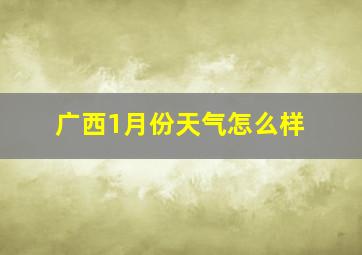 广西1月份天气怎么样